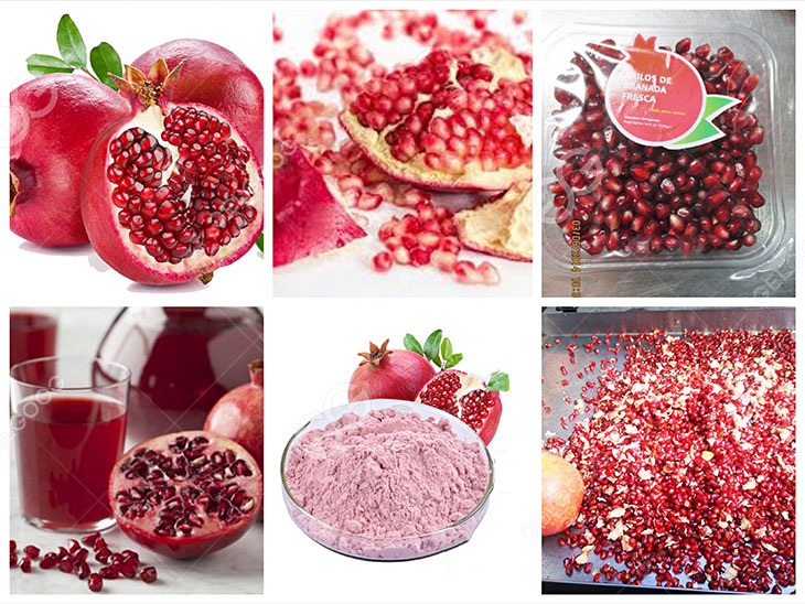Pomegranate Deseeder Review 