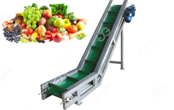 Cleated Belt Conveyors For Fruit And Vegetables Processing Line 9794