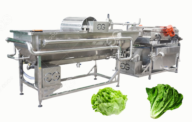 Stainless Steel Eddy Current Cleaning Machine For Fruit Salad