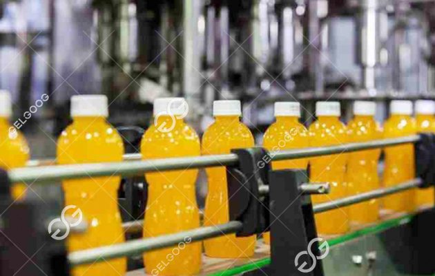 how-much-does-a-fruit-juice-processing-plant-cost